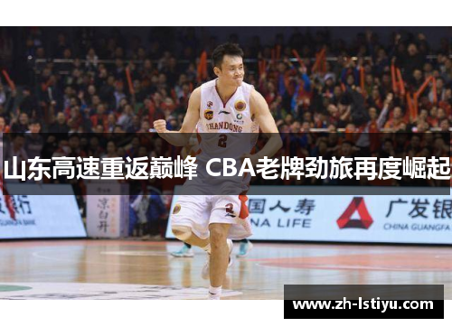 山东高速重返巅峰 CBA老牌劲旅再度崛起